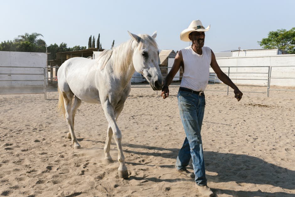 Veteran working with a quarter horse in a sandy arena during equine assisted therapy session